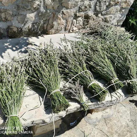 Authentic House Pelegrinka * Mali Drvenik