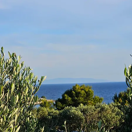 Authentic House Pelegrinka With Olive And Lemon Garden