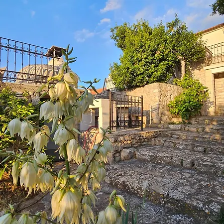 Vikendica Authentic House Pelegrinka With Olive And Lemon Garden Mali Drvenik