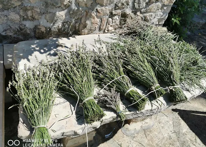 Authentic House Pelegrinka * 小德尔韦尼克岛