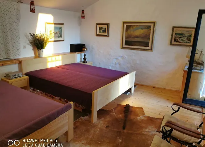 度假居 Authentic House Pelegrinka